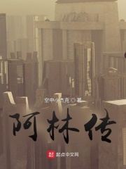 阿林视频全集完整版